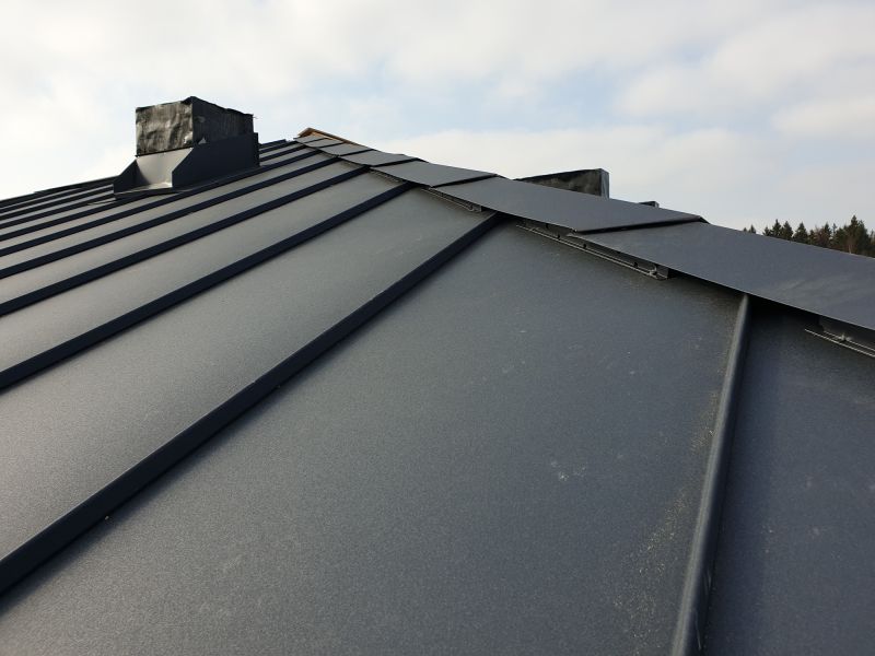 Aluminum Roof Waterproofing in Louisa, VA