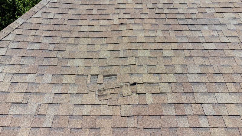 Asphalt Roof Inspection in Fluvanna County, VA