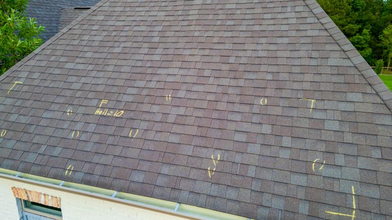 Asphalt Roof Inspection in Louisa, VA