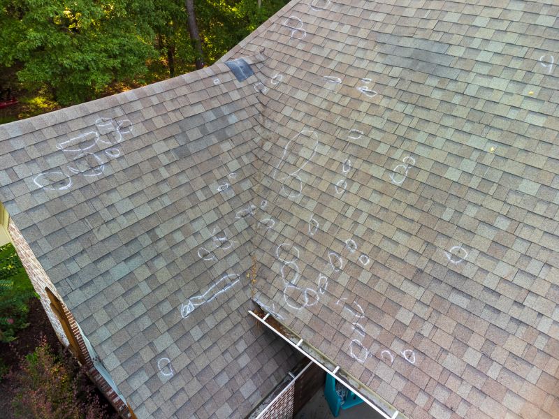 Asphalt Roof Inspection in Locust Grove, VA