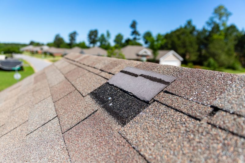 Asphalt Roof Leak Repair in Greene County, VA