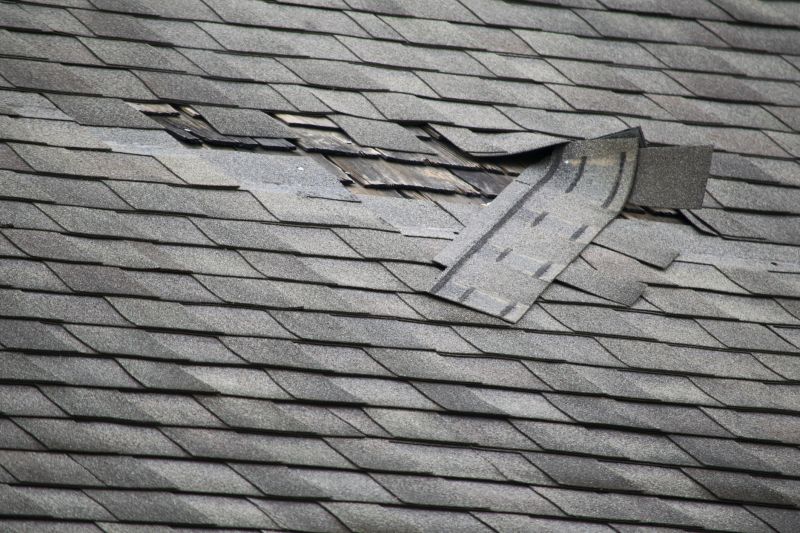 Asphalt Roof Repair in Locust Grove, VA