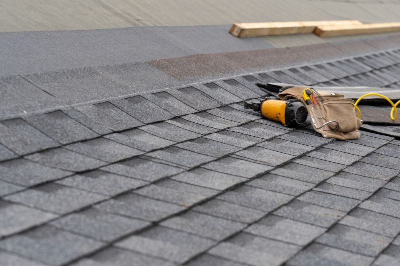Asphalt Roof Repair in Mineral, VA