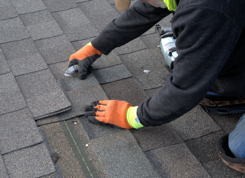 Asphalt Roof Repair in Palmyra, VA