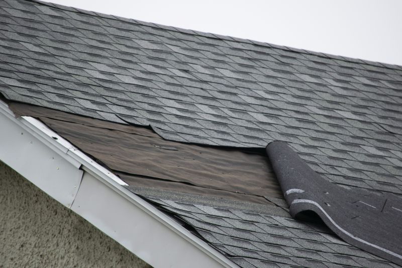 Asphalt Shingles Repair in Gordonsville, VA