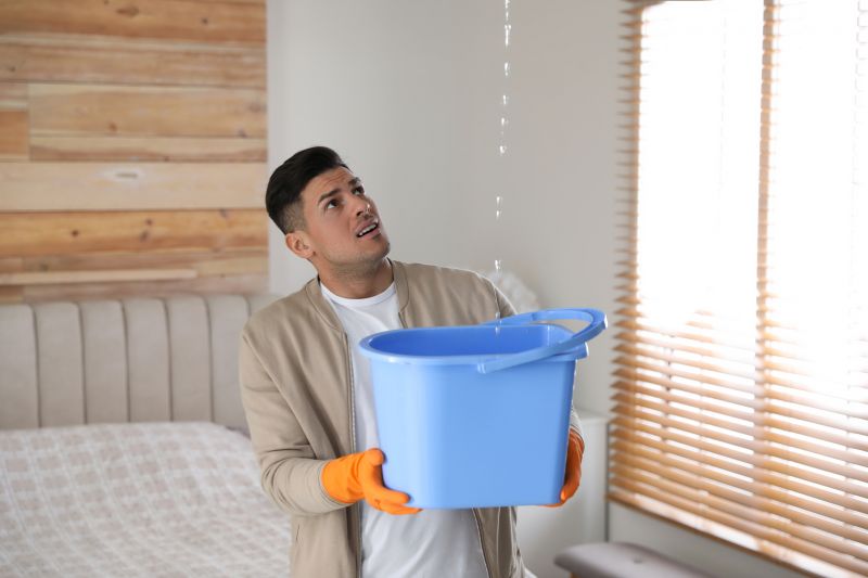 Bedroom Leak Repair in Louisa, VA