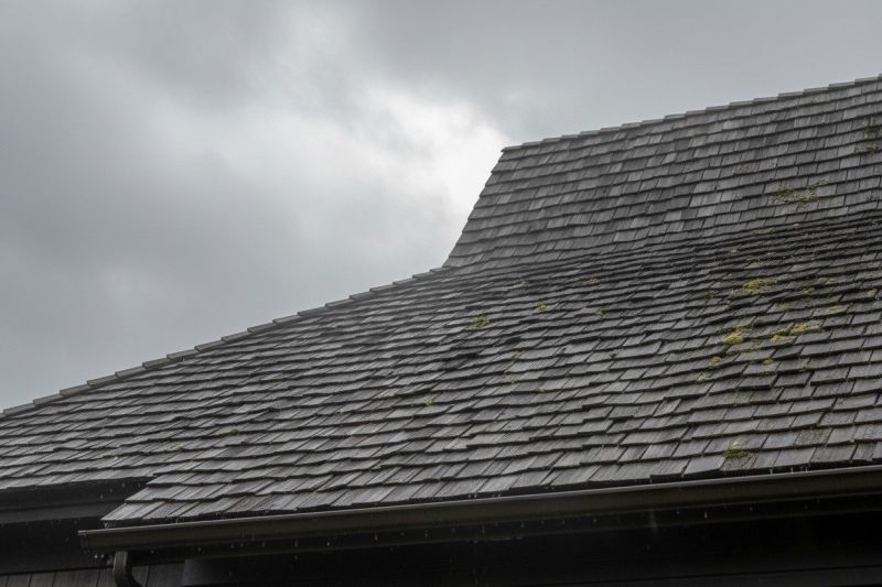 Cedar Shingles Replacement in Locust Grove, VA
