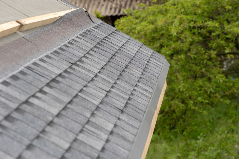 Damaged Roof Repair in Mineral, VA