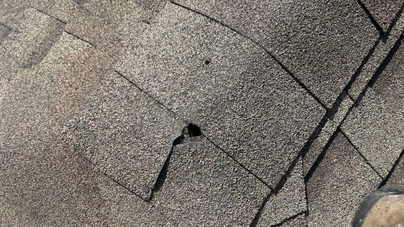 Damaged Roof Repair in Orange, VA