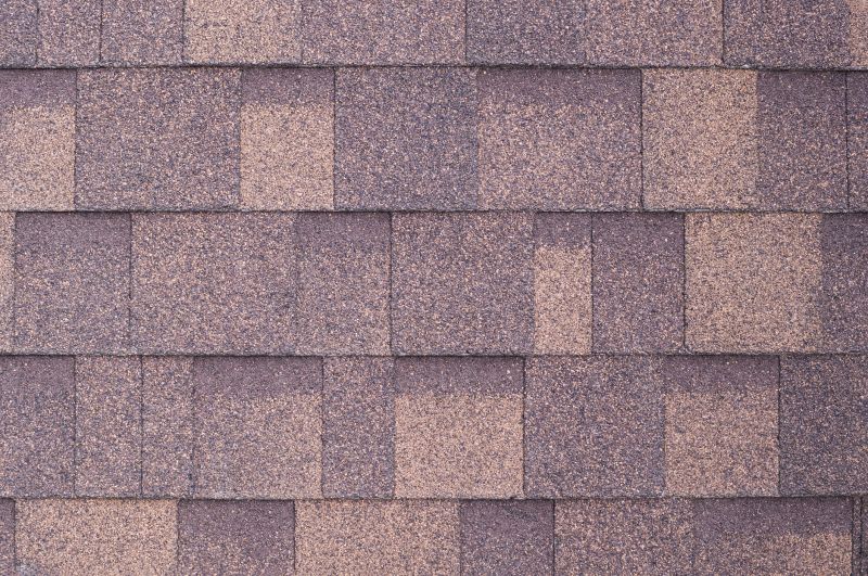 Fiberglass Shingles Repair in Louisa, VA