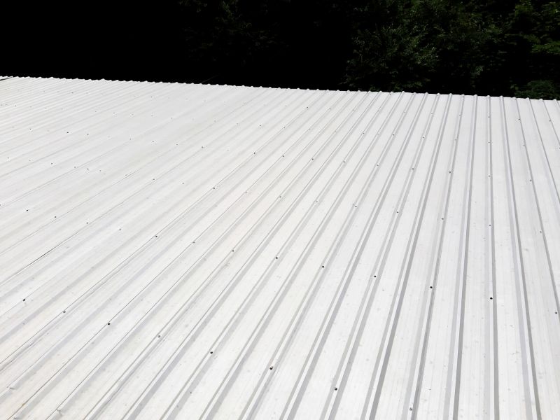 Galvanized Roof Repair in Louisa, VA