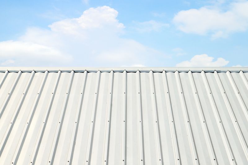 Metal Roof Coating Service in Louisa, VA