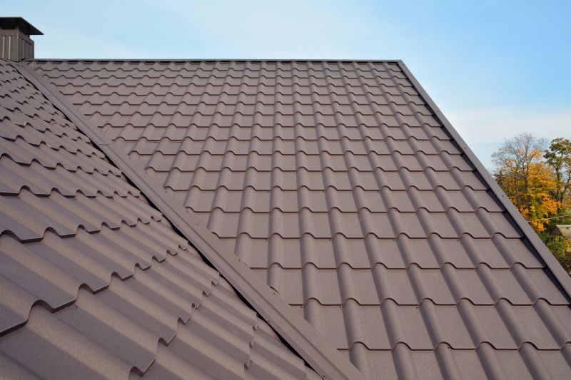 Metal Roof Installation in Orange County, VA