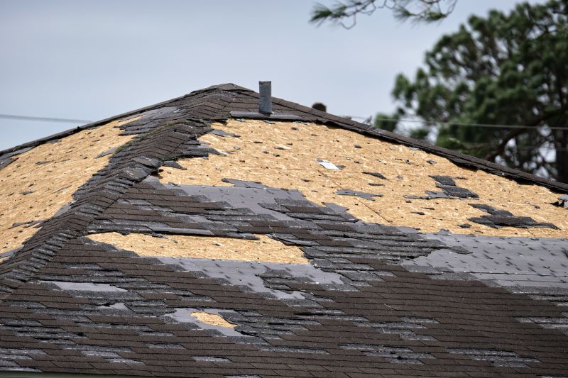 Roof Damage Restoration in Palmyra, VA