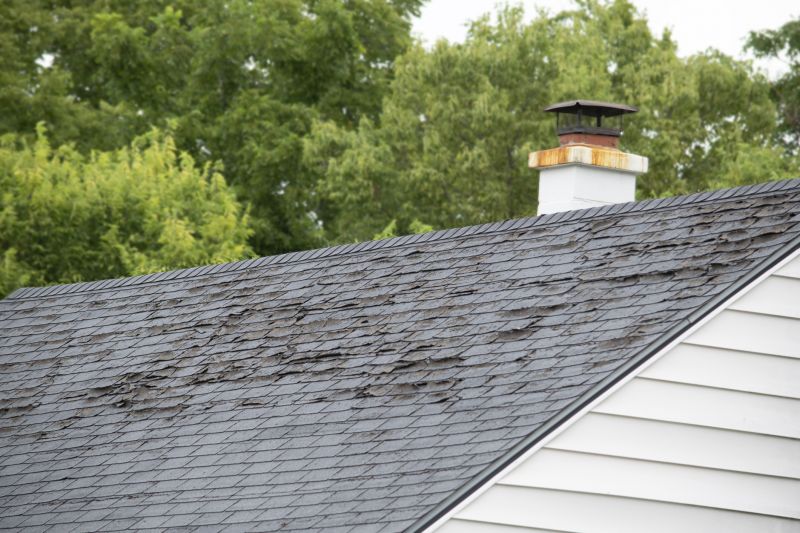Roof Hail Damage Repair in Louisa, VA