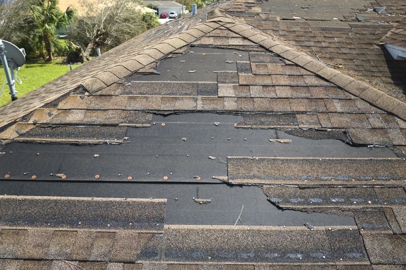 Roof Hail Damage Repair in Louisa, VA