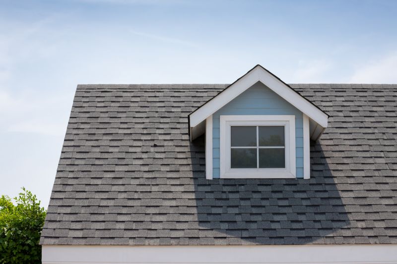Roof Patching Service in Louisa, VA