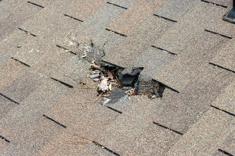 Shingle Roof Replacement in Barboursville, VA