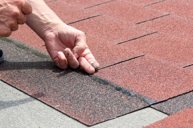 Shingles Installation in Louisa, VA