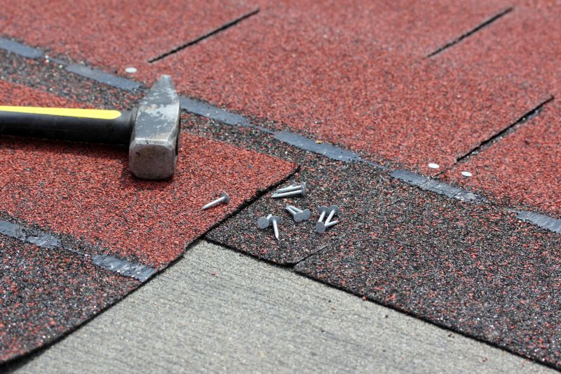 Shingles Repair in Mineral, VA