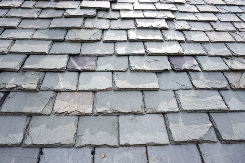 Slate Roof Repair in Orange, VA