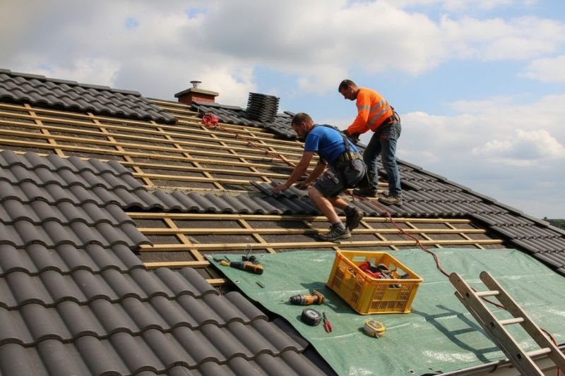 Spanish Tile Roof Repair in Louisa, VA