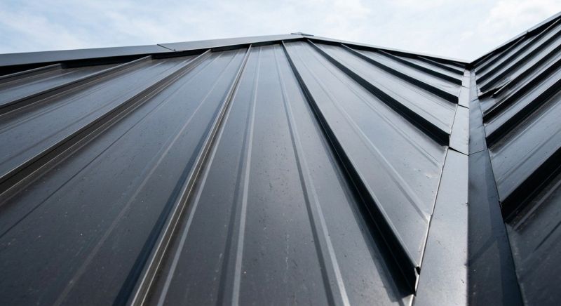 Standing Seam Roof Repair in Louisa, VA