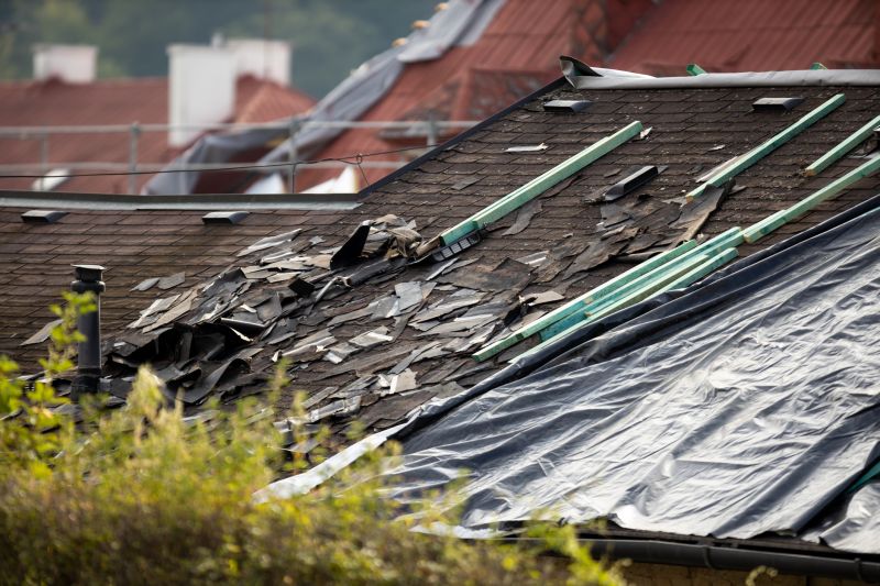 Storm Damage Roof Tarping in Louisa, VA