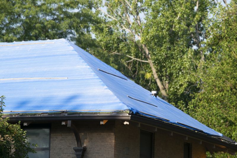 Storm Damage Roof Tarping in Louisa, VA