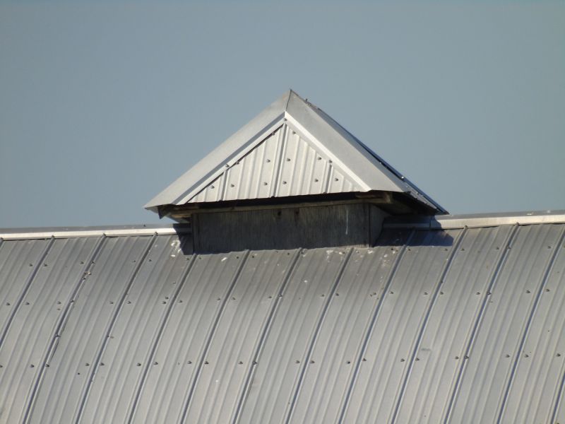 Tin Roof Installation in Greene County, VA