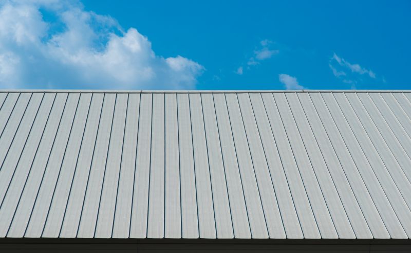 Tin Roof Repair in Louisa, VA