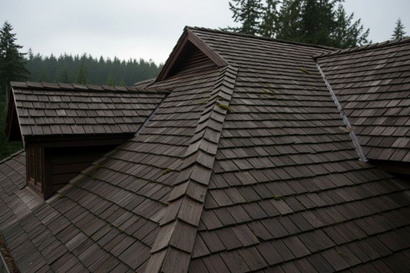 Wood Shake Roof Replacement in Louisa, VA